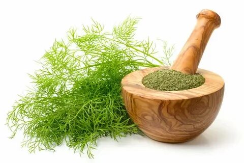 خرید تضمینی شوید خشک بلغور با کیفیت صادراتی